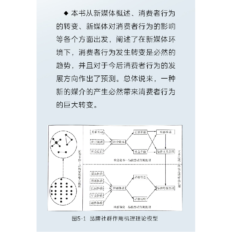 醉染图书数字化消费者行为9787569315356高清大图