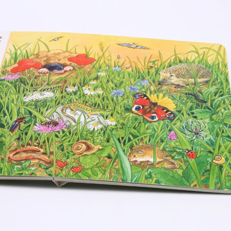 宝宝专注力1000.动物大发现 [正版]宝宝专注力1000.动物大发现高清大图