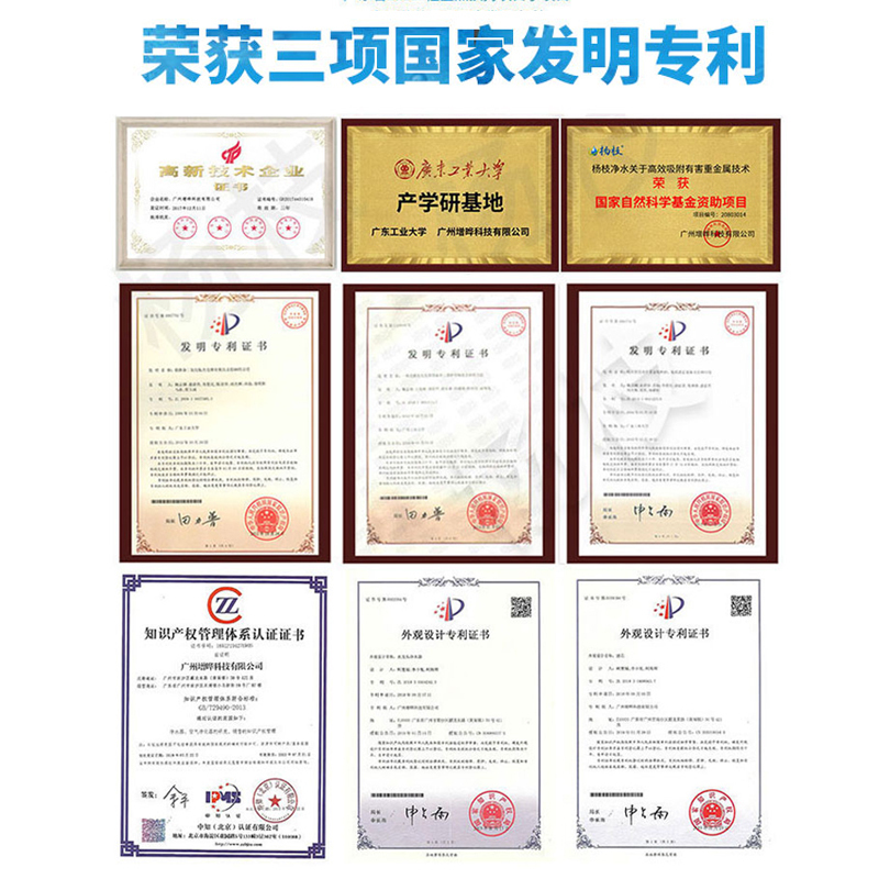 杨枝净水器/电镀银/陶瓷滤芯厨房水龙头滤水器家用直饮自来水过滤器一机二滤