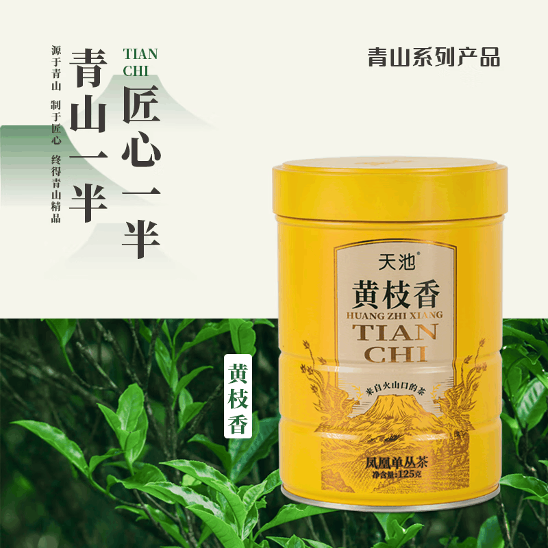 天池 茗茶 单丛 青山·黄枝香125g/罐图片