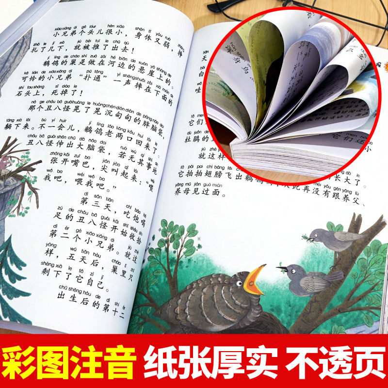 森林报[彩图注音版] [正版]有声伴读 森林报全集系列注音版春夏秋冬带拼音彩图儿童故事书绘本适合6-7-10岁阅读老师一
