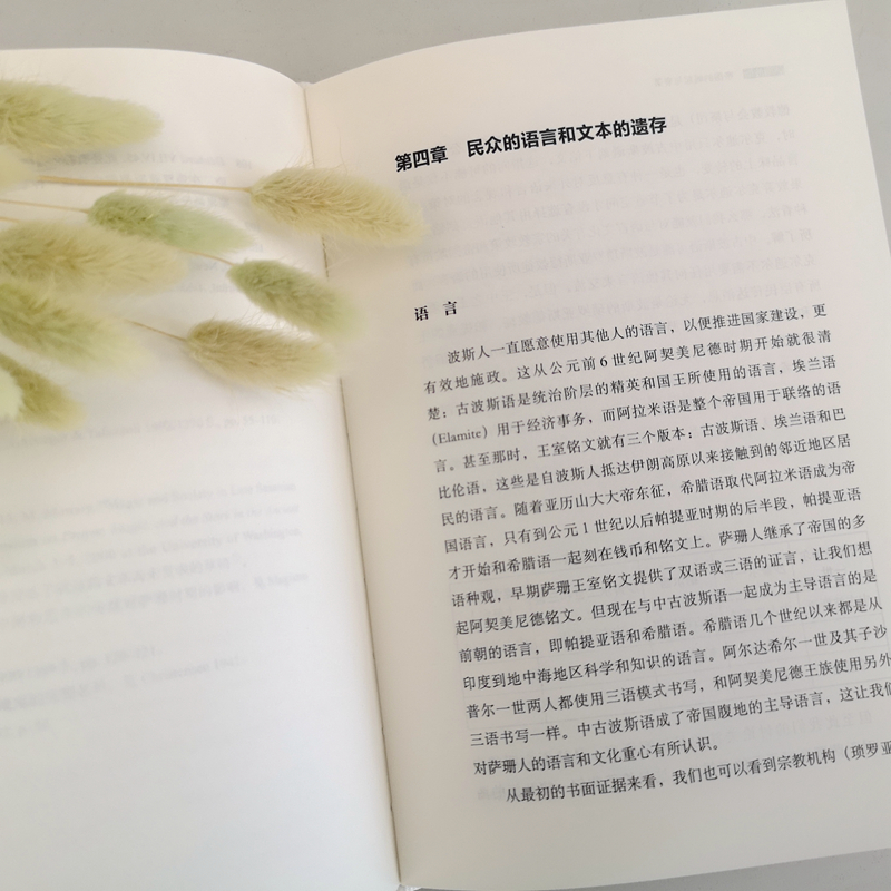 醉染图书萨珊波斯 帝国的崛起与衰落9787301318713高清大图