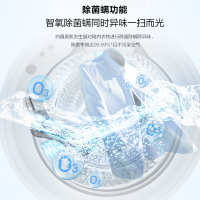 惠而浦(Whirlpool) 10公斤kg直驱变频滚筒洗衣机大容量家用帝王系列冰川白WFD100944BAOW