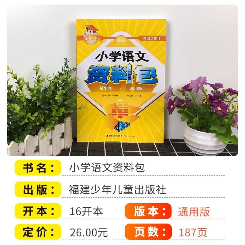 小学语文资料包 小学通用 [正版]2025新版 小考专家小学资料包一年级二年级三年级四年级五年级六年级语文辅导教辅精华本