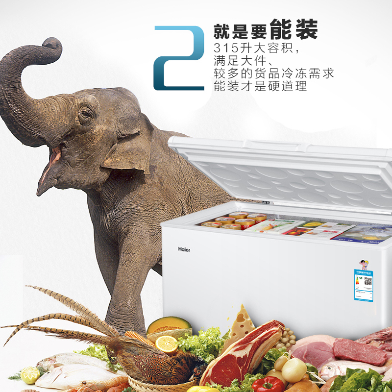 海尔(Haier) BC/BD-315HDB 商用卧式冰箱冷柜 冷藏冷冻转换冰柜 315升