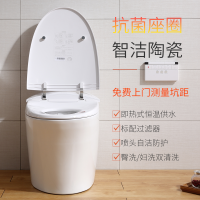 日本大普智能马桶一体机无水箱即热式全自动冲洗烘干家用智能坐便器300mm400mm坑距送货上门