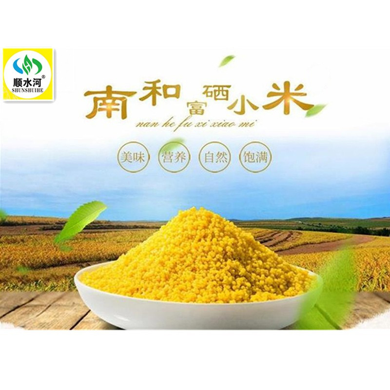 【中华特色】河北供销馆 顺水河 富硒金米2.5kg 一级黄小米新米真空包装五谷杂粮粗粮 河北邢台特产 华北