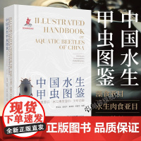 正版 中国水生甲虫图鉴 藻食亚目 水生肉食亚目 牙甲总科 海峡书局 鞘翅目真水生甲虫赝水生兼性水生近岸水生寄生性植物性水