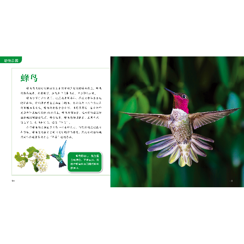醉染图书聪明孩子的百科全书系列动物乐园9787557860493