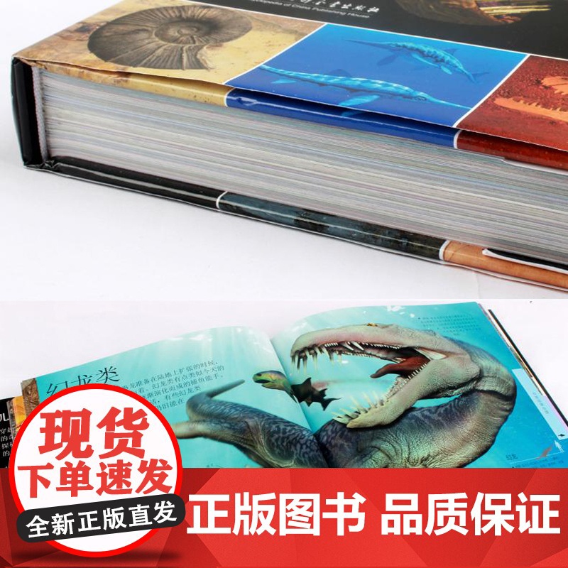 DK儿童恐龙百科全书英国DK公司 编 邢立达 等 译WX高清大图