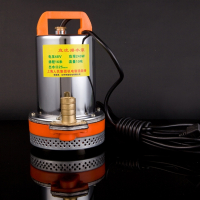 电瓶车抗旱浇灌农用家用洗车抽水机直流水泵12V24V48V船用潜水泵 24V220W7米电缆不锈钢叶轮