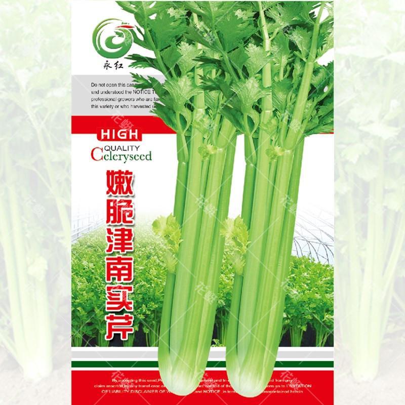 悦芳华园艺用品悦芳华四季小香芹芹菜种籽西芹白芹菜籽种子孑老品种实心春夏秋冬四季播 价格图片品牌报价 苏宁易购芸竹家居专营店