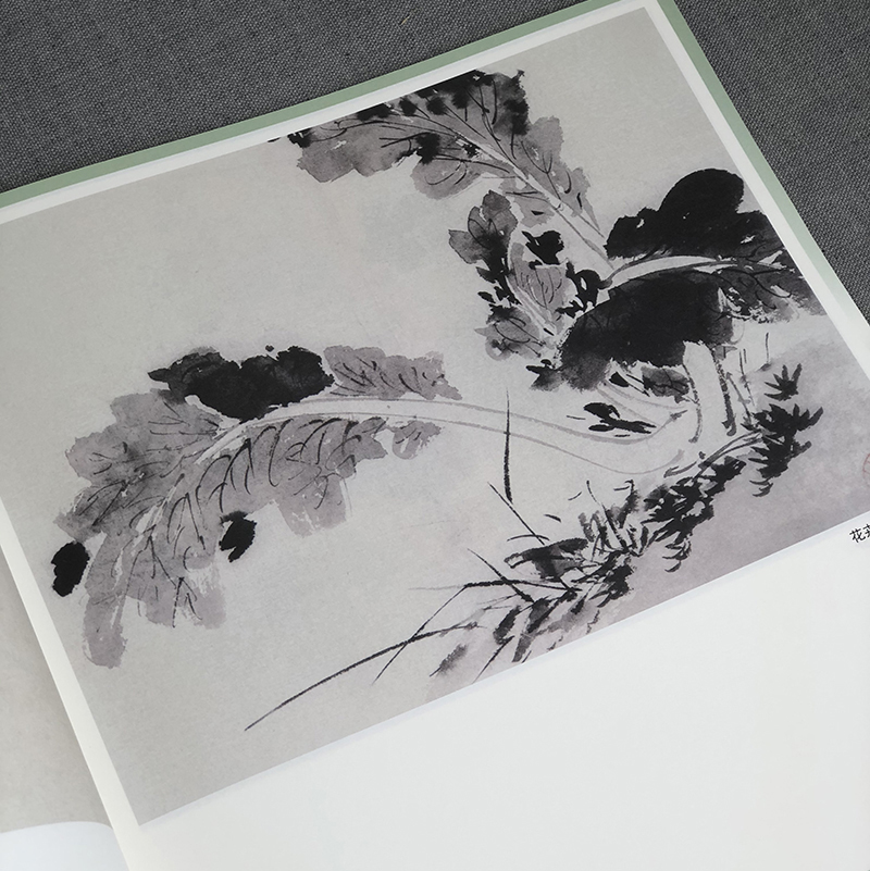 [正版]陈淳 徐渭写意花鸟画谱 名家课徒稿临本 中国画泼墨入门临摹练习画册 水墨画花鸟绘画技术教程欣赏作品 上海人民美术高清大图
