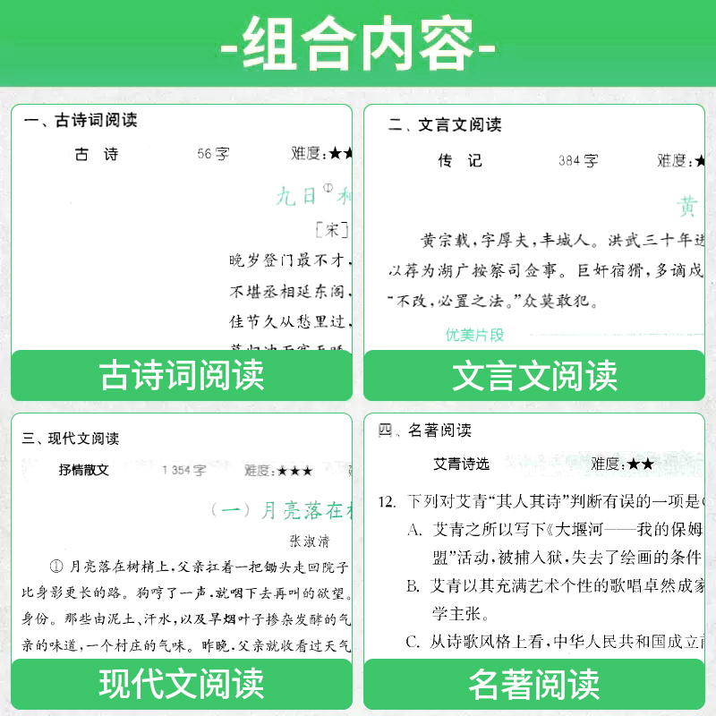 中考 阅读组合训练[语文+英语2本] 初中通用 [正版]江西专版2024版通城学典初中语文阅读组合训练七八九年级中考初一