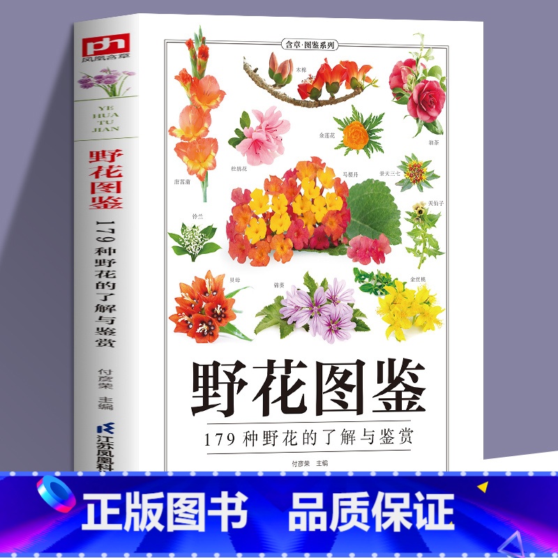 【正版】野花图鉴常见花卉园林植物识别图鉴 张彦妮贺风春园林花草树木植物野花野外识别鉴赏速查手册图谱图鉴百科全书花卉养殖