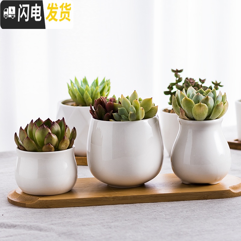 三维工匠多肉花盆 ins白色简约陶瓷大花盆 定制logo小花盆 浅灰色带脚小方002 中等花盆容器高清大图