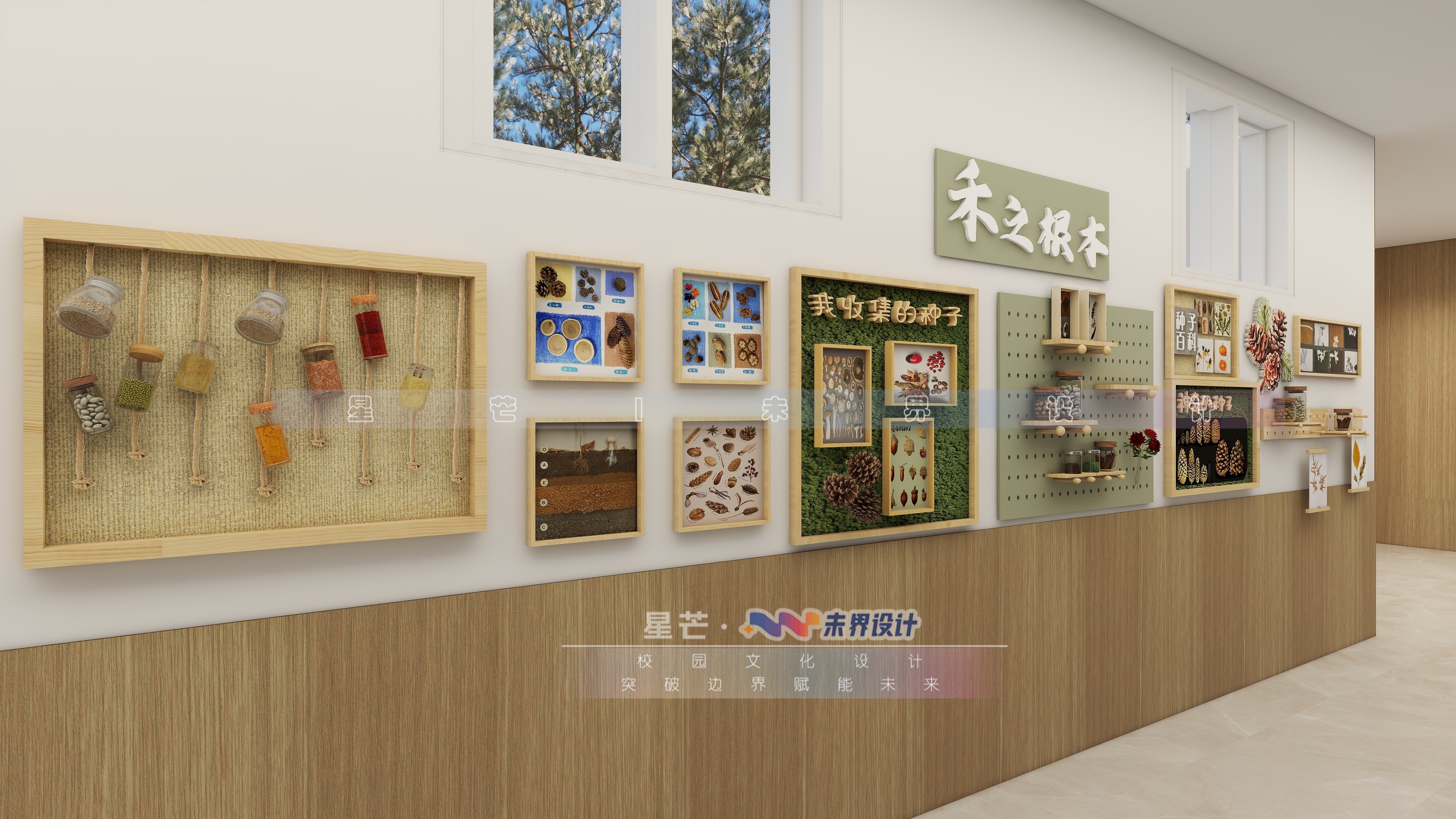 种子博物馆主题环创高清大图