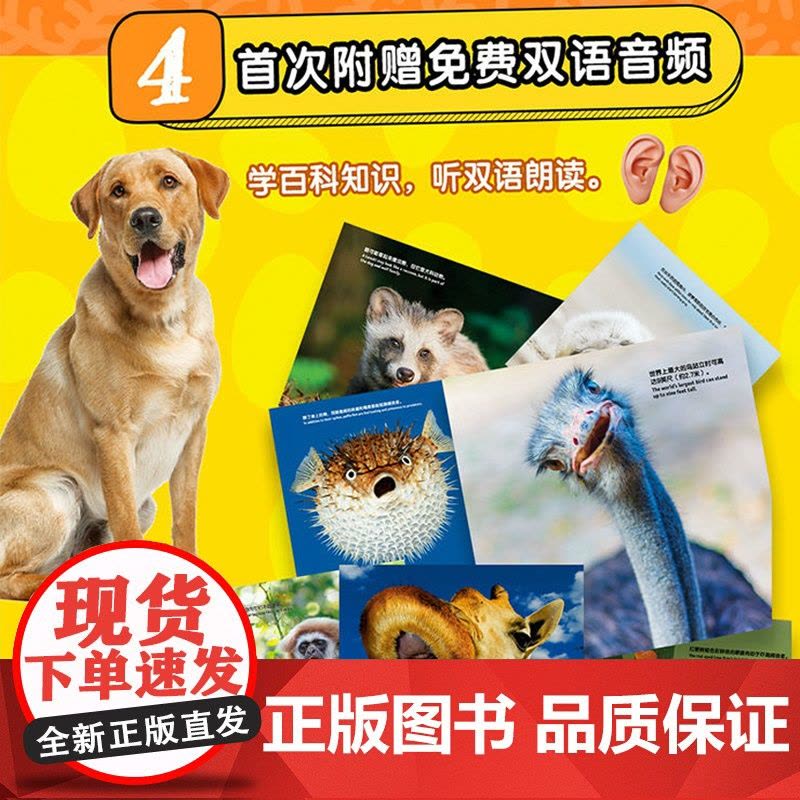 美国国家地理智慧小百科全套6册双语版3-6岁儿童科学漫画书籍小学生版一二年级课外书读天气雨林动物科普百科全书儿童6-12图片