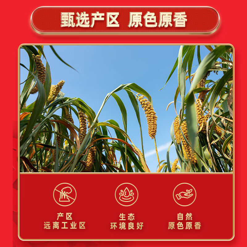 十月稻田连年有余十种杂粮礼盒4kg高清大图