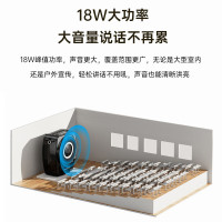 得胜(TAKSTAR)E8W小蜜蜂扩音器导游教学专用腰挂耳麦喇叭音箱 E8W手持版