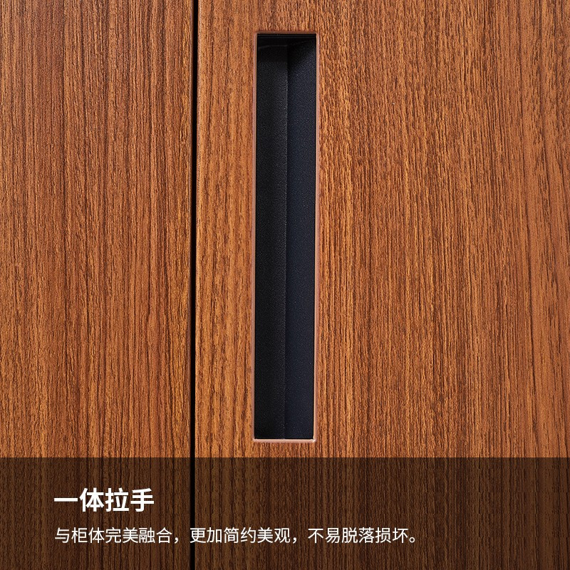 振奥 转印钢制文件柜加厚办公室资料柜胡桃仿木纹/台(深胡桃通双节)