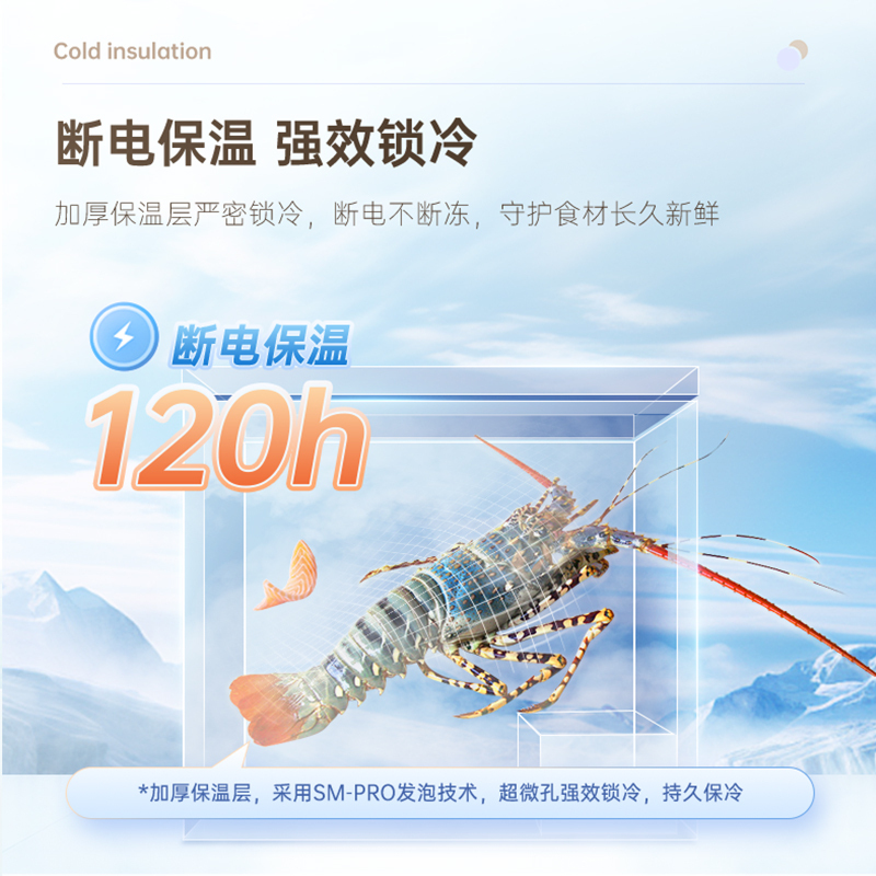 澳柯玛BC/BD-291HVS 291升家用卧式冷柜冷冻冷藏冰柜一级节能家用卧室冰箱