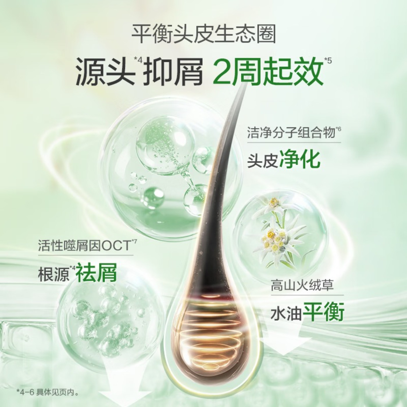 阿道夫精油香护理专研洗发水(祛屑舒爽)420ml高清大图