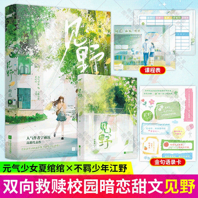 [醉染正版]见野上册 高人气作者宁雨沉破圈高甜青春校园代表作 他的小撩精甜爆啦风炫夏绾绾江野 青春都市校园言情小说书籍完高清大图
