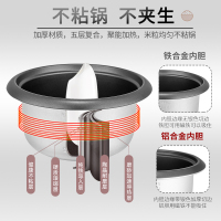 电饭煲饭锅3-4人小型1-2人5L升智能蒸米饭电饭锅多功能 豪华金色4.0L(高配)