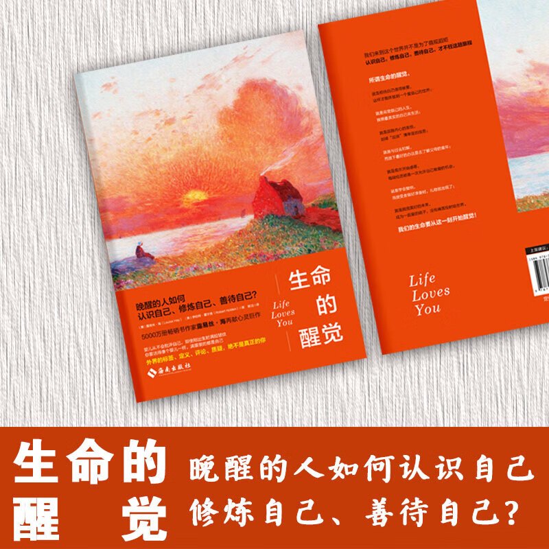 [正版]露易丝·海:生命的醒觉(5000万册书作家再献自爱真谛!