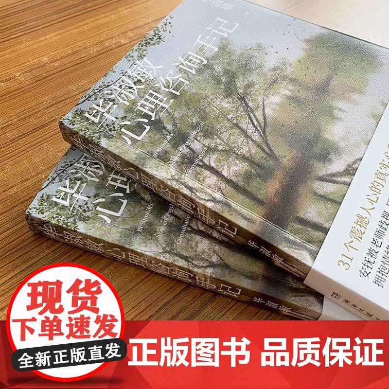 毕淑敏心理咨询手记 知名心理咨询师毕淑敏代表作,31个震撼人心的心理咨询案例 心理学基础入门书籍高清大图