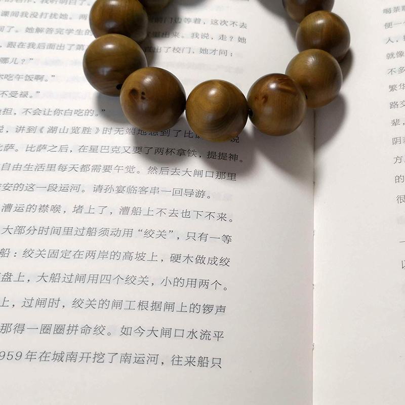 北上 徐则臣 著 文学 文轩网