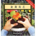 盆栽花艺