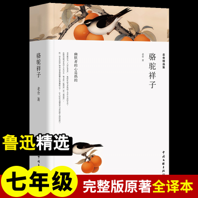 正版新书]老舍精选集 骆驼祥子老舍 著9787519030865