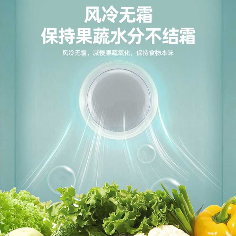荣事达(Royalstar)233升三门家用大容量节能低噪租房风冷无霜低音保鲜冷冻冰箱R233F高清大图