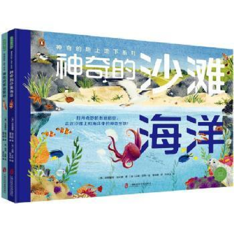 醉染图书的地上地下系列(的沙滩海洋+的昏黎)9787552039665高清大图