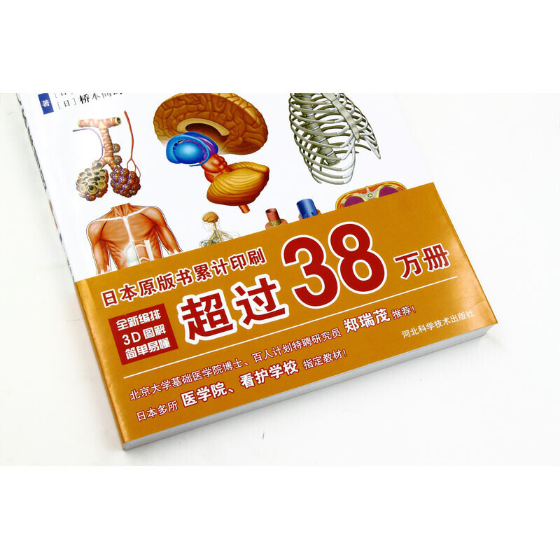 [正版]全新3D人体解剖图
