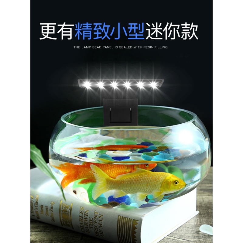 鱼缸灯LED灯缸灯防水小型节能照明灯迷你小夹灯水族箱水灯高清大图