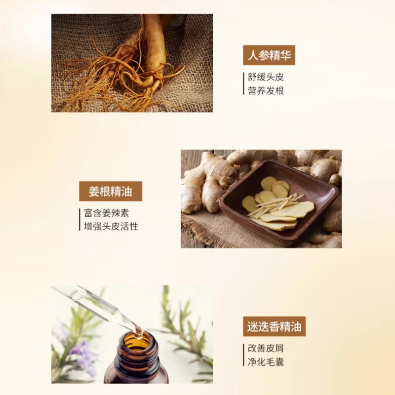 舒蕾[张若昀同款]参姜精油滋养控油蓬松洗发水500ml 强韧防断发高清大图