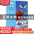 手工时光-风筝