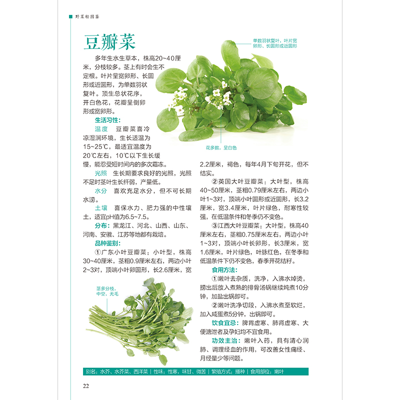 醉染图书野菜轻图鉴---轻图鉴系列29787571333980高清大图