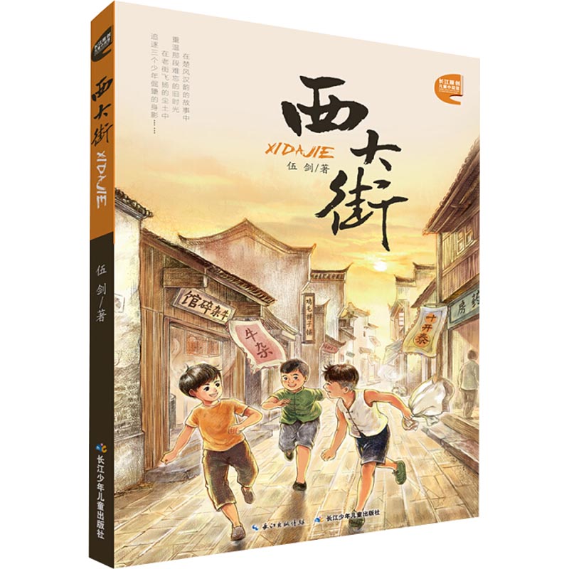 西大街高清大图