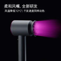 戴森 (Dyson)HD03 吹风机 酷黑色 三档风力1600W功率手持平衡设计 恒温护发 过热保护智能温控负离子电吹风