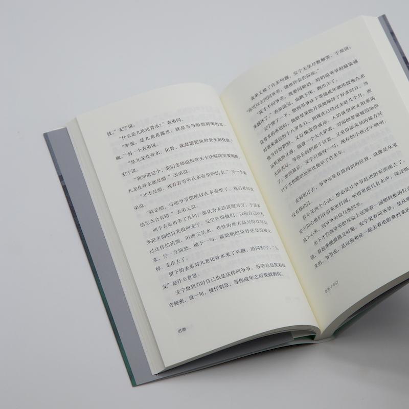 迟湖 [正版]迟湖 黄昶短篇小说集上海文艺出版社真金青年文学写作总冠军作品集中国当代文学图书籍 苏童张定浩杨庆祥张菁
