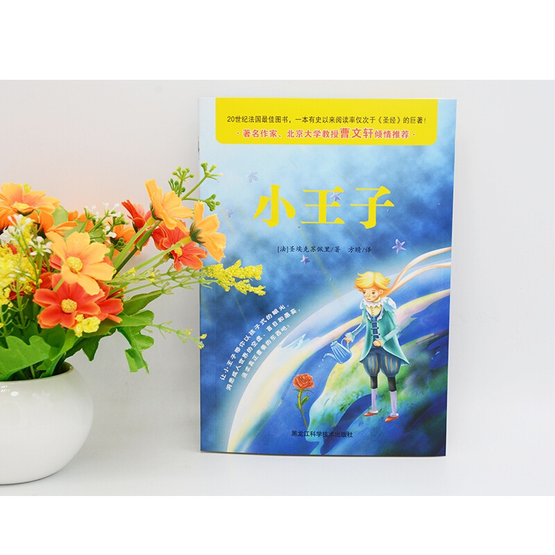 正版 小王子 圣埃克苏佩里 小王子书正版英文版原版译本简体中文无删减The Little Prince世界名著学生课外读