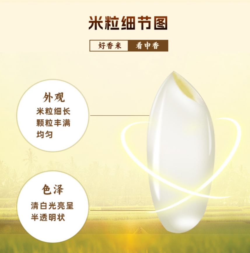中香金丝苗米5KG 南方大米广西上林香米10斤香甜软糯扶贫产品 猫牙米油粘米丝苗米当季新米 煲仔饭专用高清大图