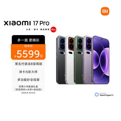 Xiaomi 17 Pro 冷烟紫 16GB内存+512GB存储