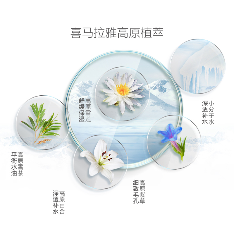 自然堂(CHANDO)雪莲舒缓保湿面膜5片 喜马拉雅植物面膜 保湿补水舒缓肌肤持久滋润收缩毛孔控油植物精粹面膜贴化妆品高清大图