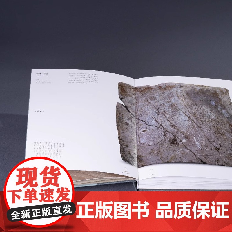 [正版]隋炀帝墓出土文物精粹 9787501087495 正版书籍高清大图