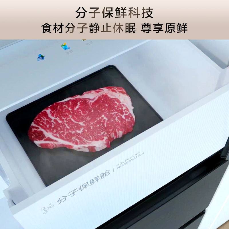 TCL 539升法式四门超薄零嵌入式冰箱分子保鲜一级节能变频多开门风冷无霜电冰箱家用大容量底部散热R539T9-DQ